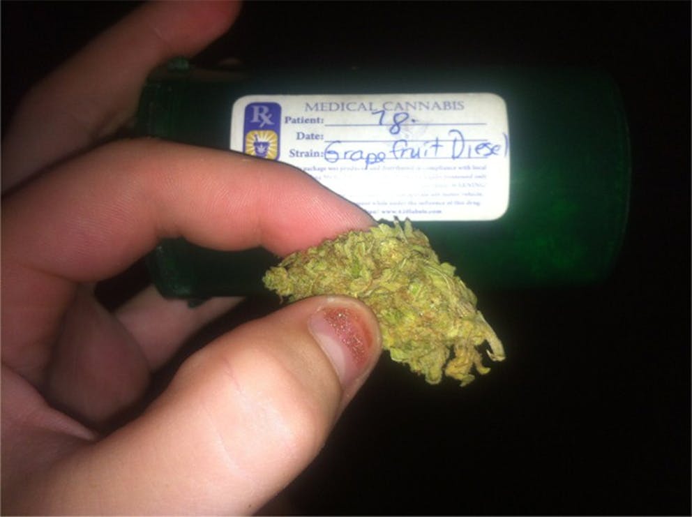 Photos of Grapefruit Diesel Weed Strain Buds Leafly