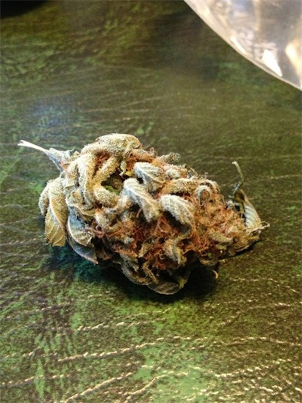 Photos of Grapefruit Diesel Weed Strain Buds Leafly