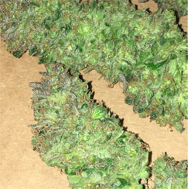 Photos of Grapefruit Diesel Weed Strain Buds Leafly