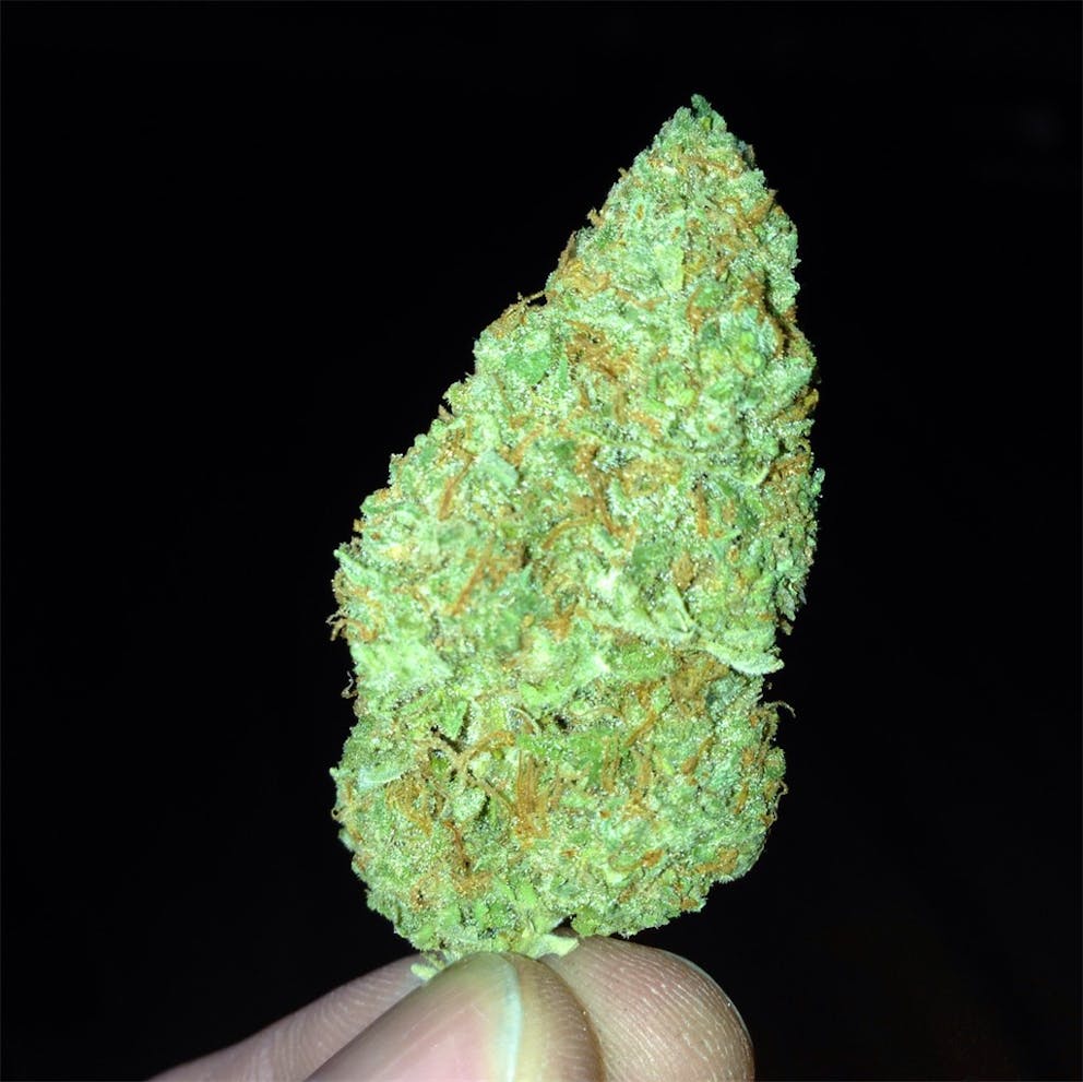 Photos of Grapefruit Diesel Weed Strain Buds Leafly