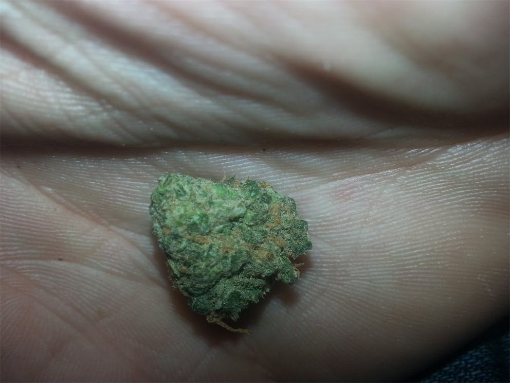 Photos of Grapefruit Diesel Weed Strain Buds Leafly