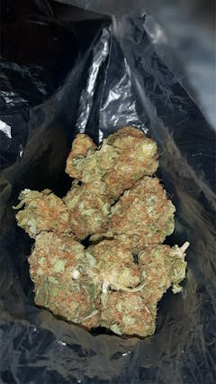 User uploaded image of Grapefruit Diesel