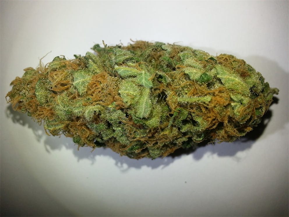 Photos of Grapefruit Diesel Weed Strain Buds Leafly