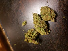 User uploaded image of Grapefruit Diesel
