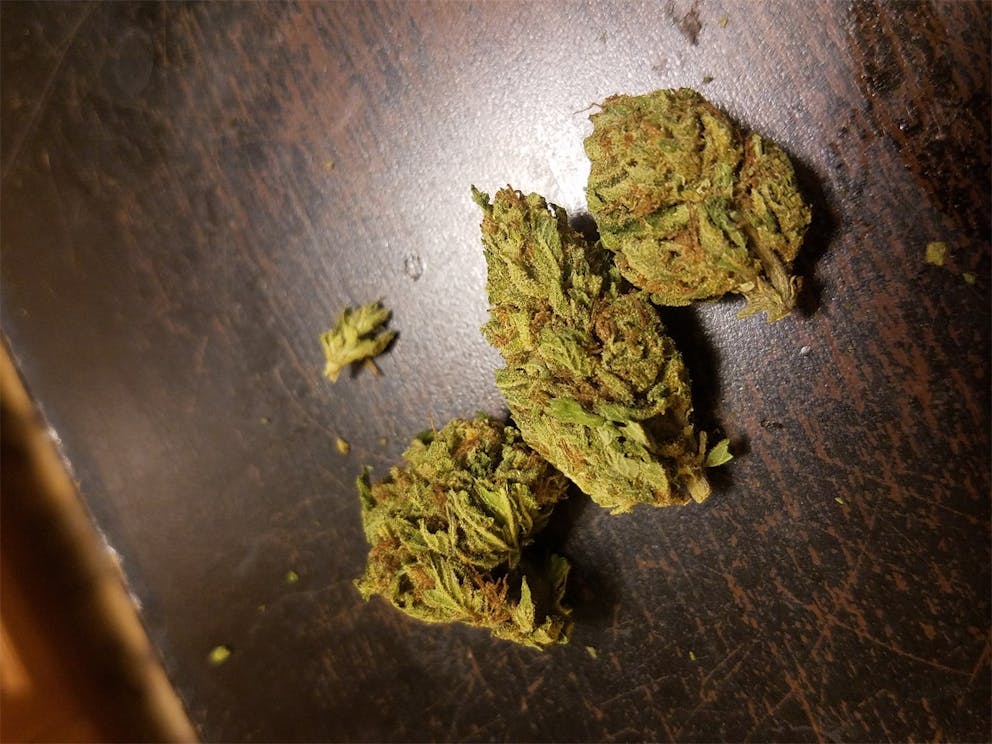 Photos of Grapefruit Diesel Weed Strain Buds Leafly