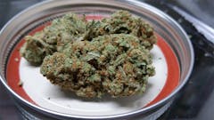User uploaded image of Grapefruit Diesel