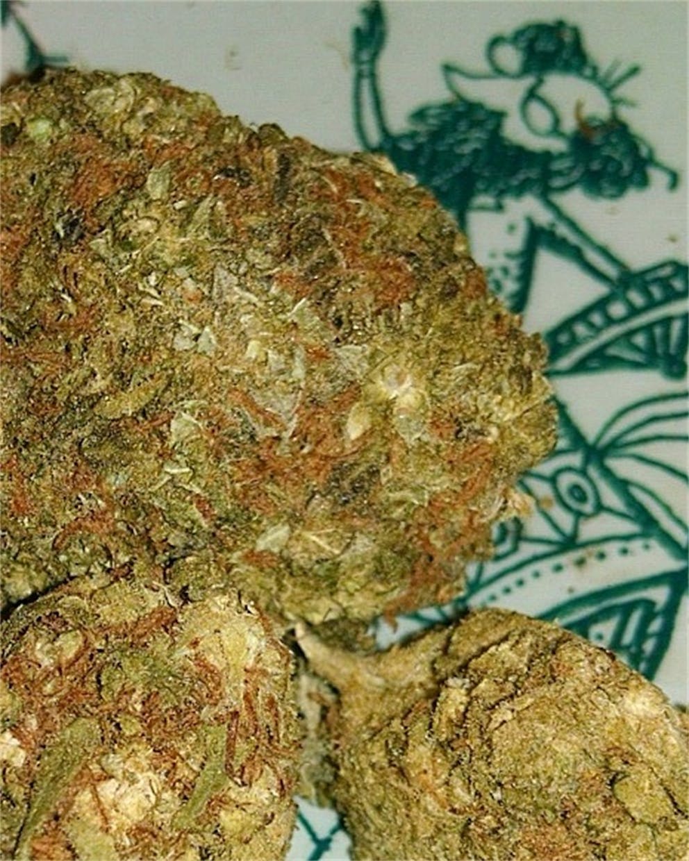 Photos of Grapefruit Diesel Weed Strain Buds Leafly