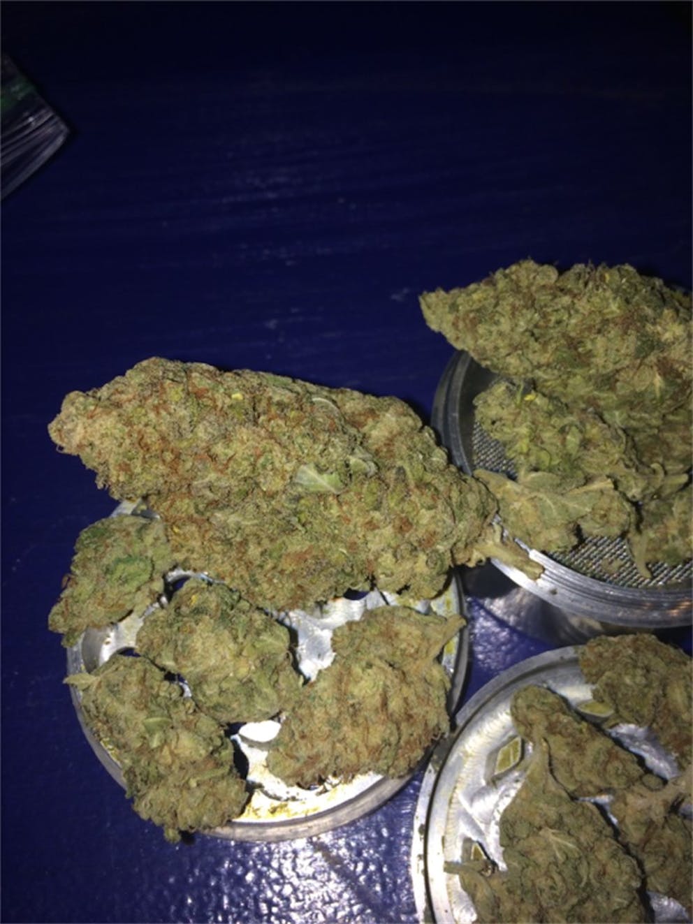 Photos of Grapefruit Diesel Weed Strain Buds Leafly