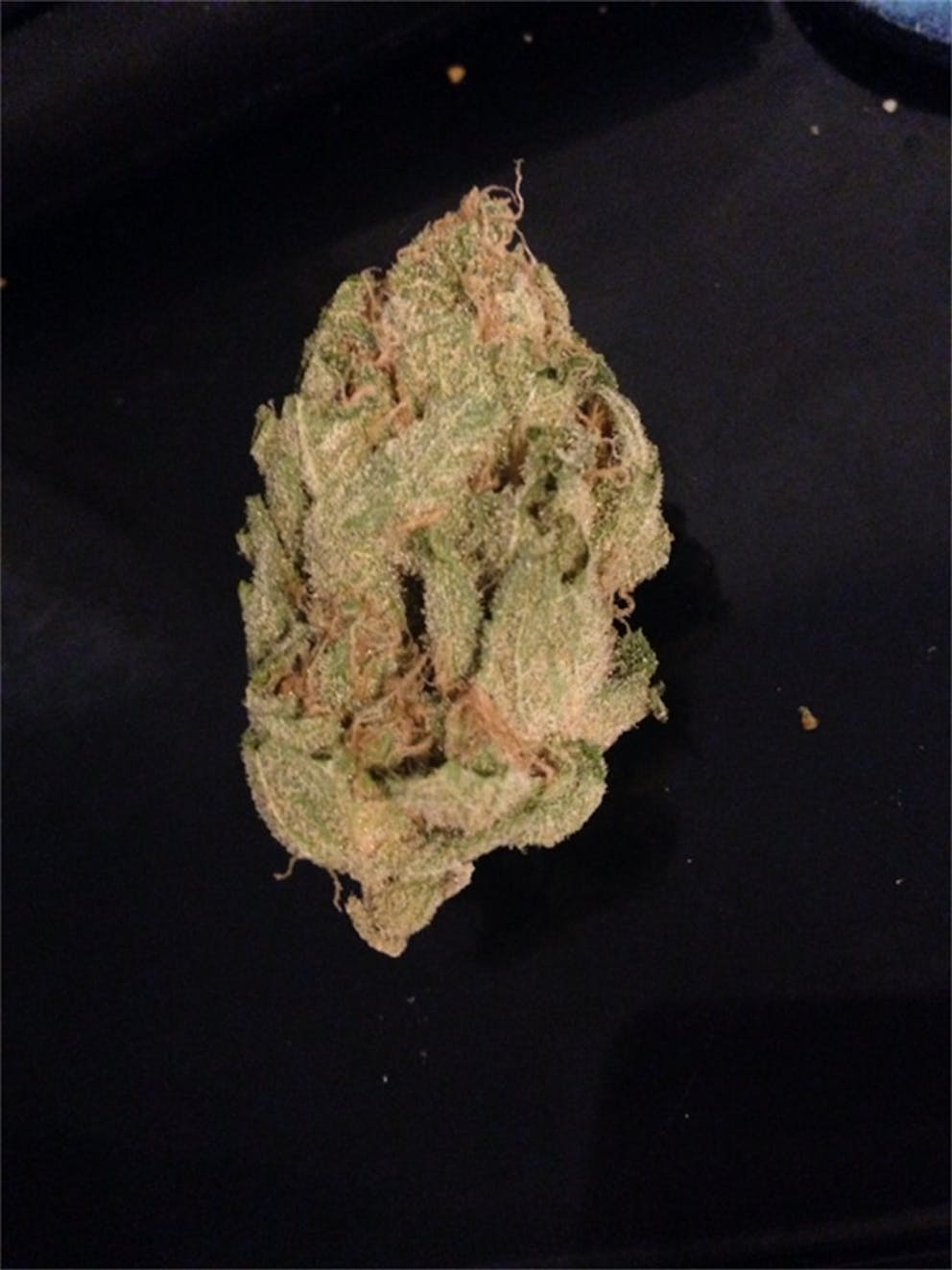 Photos of Grapefruit Diesel Weed Strain Buds Leafly