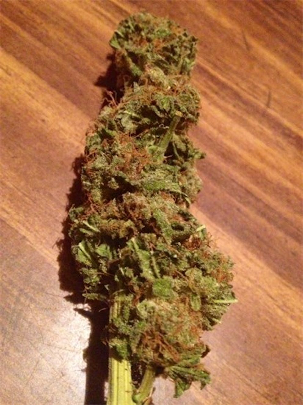 Photos of Grapefruit Haze Weed Strain Buds Leafly