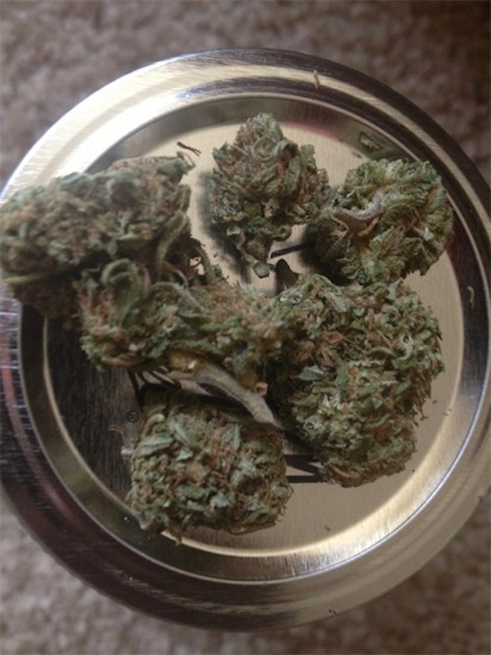 Photos of Grapefruit Haze Weed Strain Buds Leafly