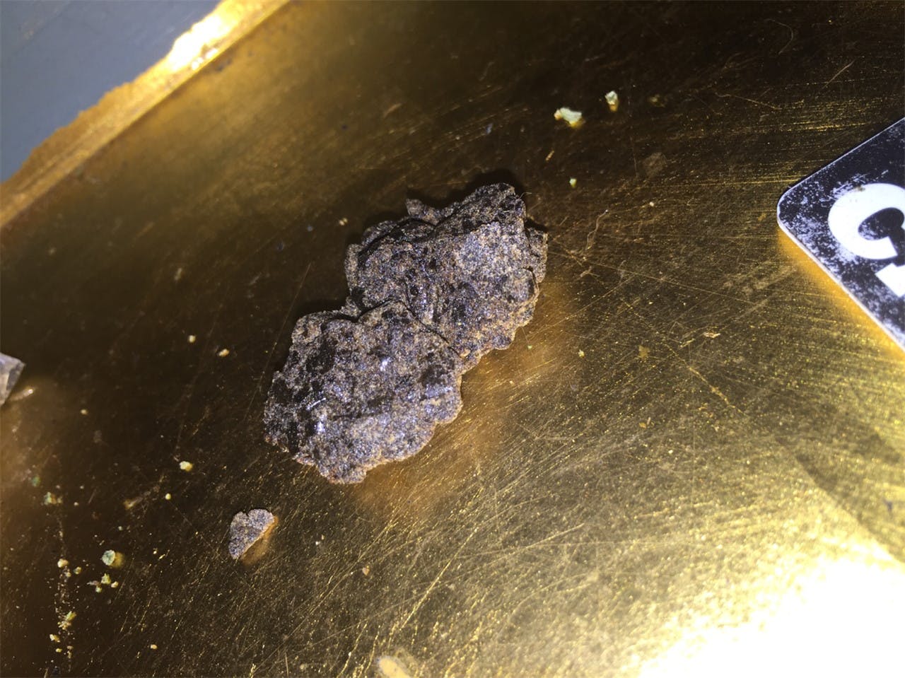 Grapefruit Haze Weed Strain Information Leafly