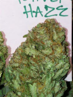 User uploaded image of Grapefruit Haze