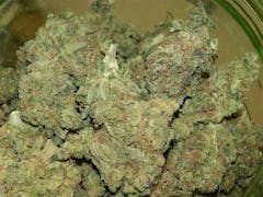 User uploaded image of Grapefruit Haze