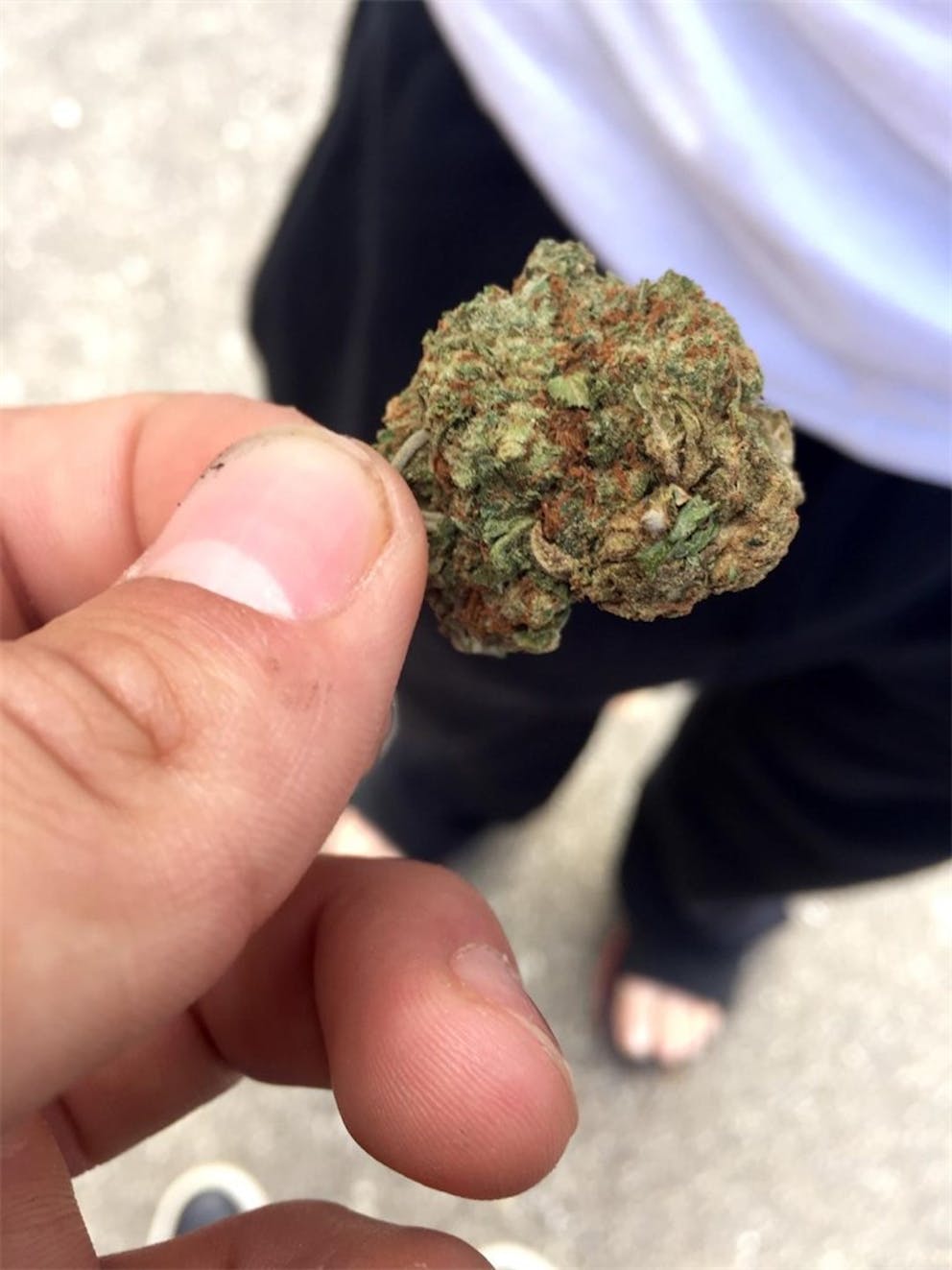 Photos of Grapefruit Weed Strain Buds Leafly