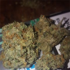 User uploaded image of Grapefruit