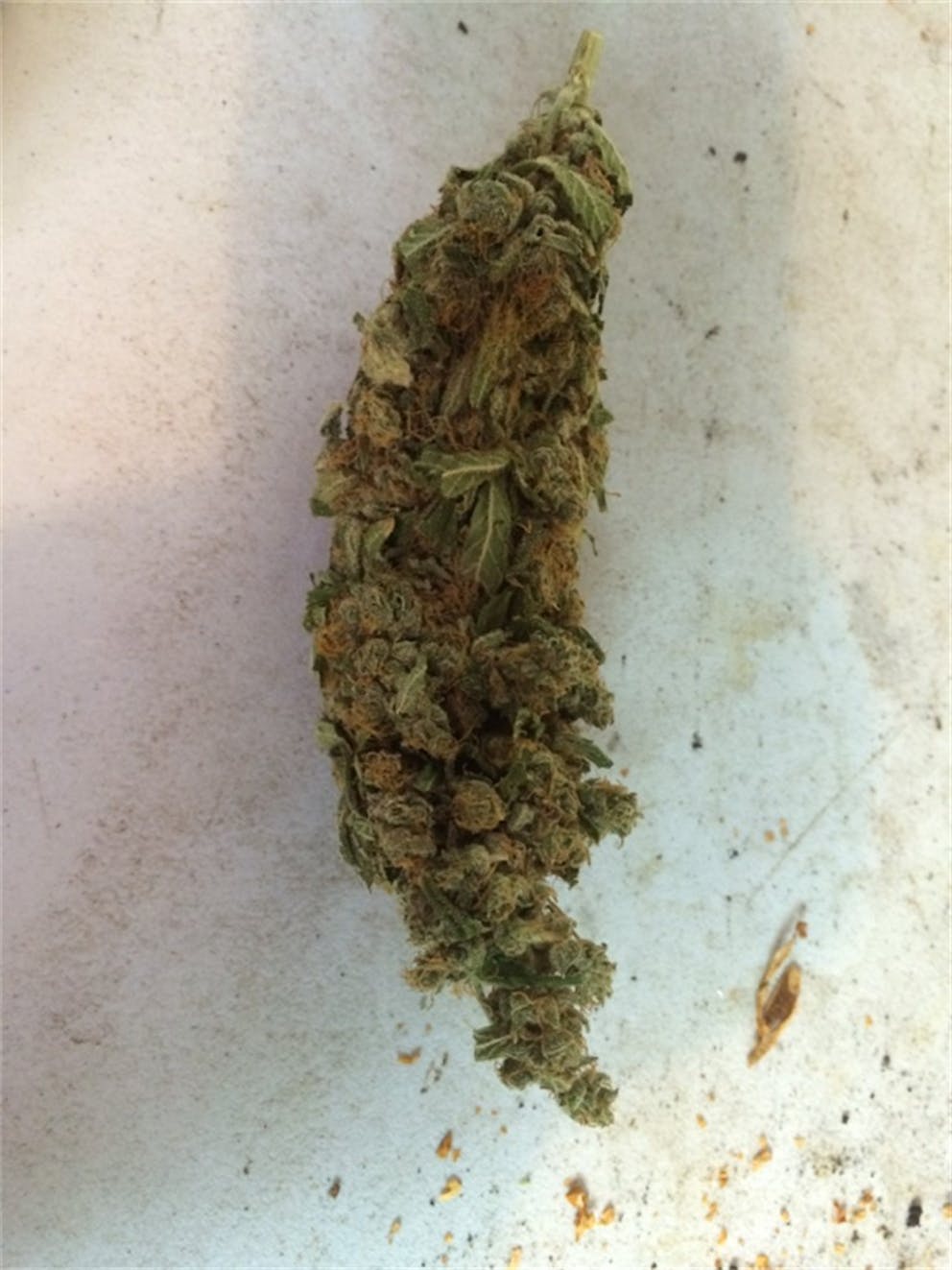 Photos of Grapefruit Weed Strain Buds Leafly