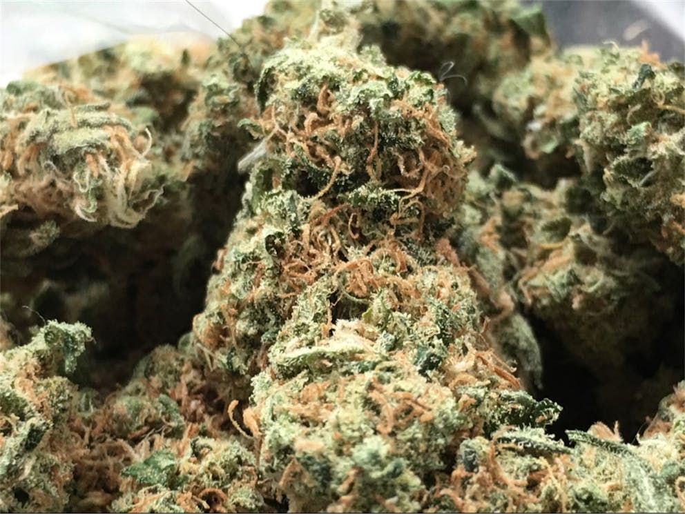 Photos of Grapefruit Weed Strain Buds Leafly