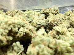 User uploaded image of Gravity