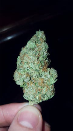 User uploaded image of Gravity