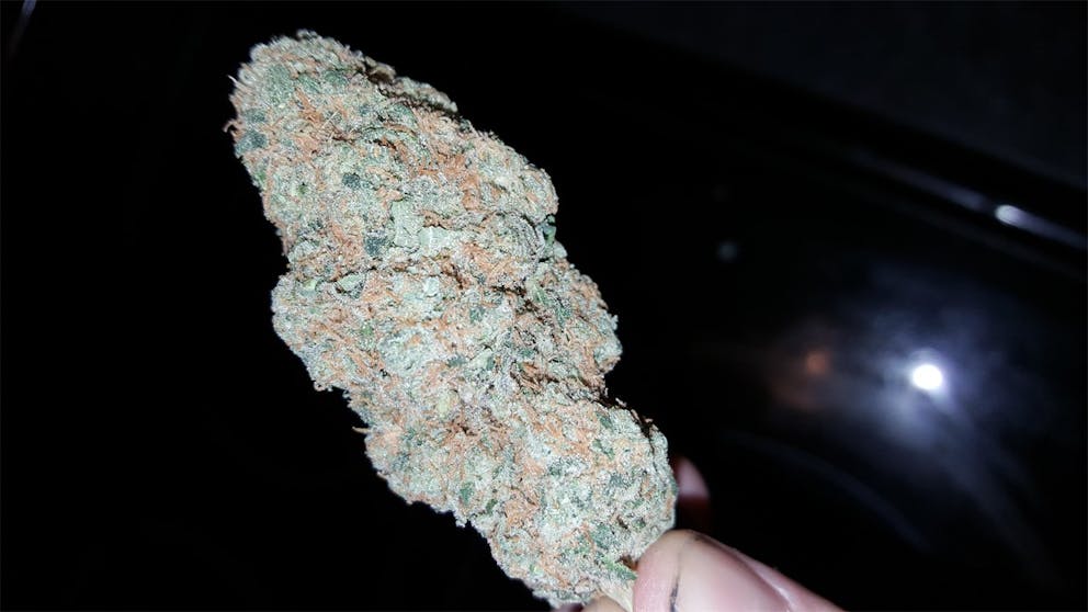 Photos of Gravity Weed Strain Buds Leafly