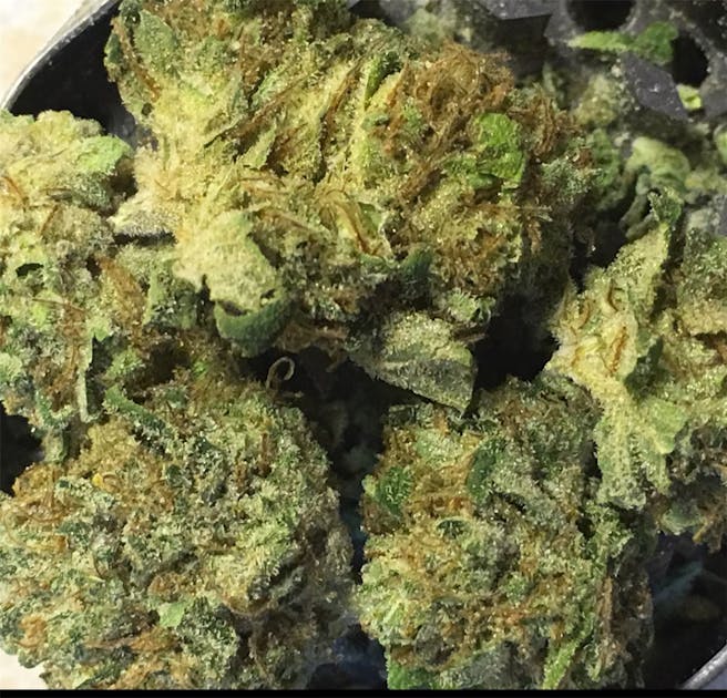 Photos of Grease Monkey Weed Strain Buds Leafly