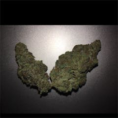 User uploaded image of Grease Monkey