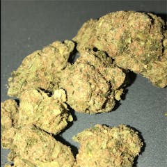 User uploaded image of Great White Shark