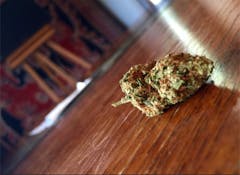 User uploaded image of Green Candy