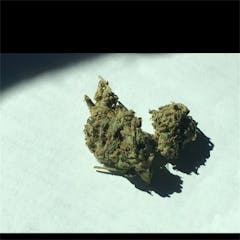 User uploaded image of Green Cheese