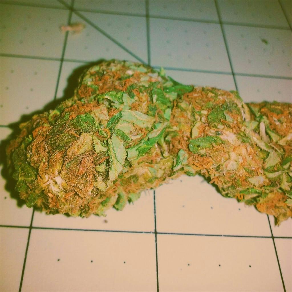 Green Crack Extreme aka Extreme Green Crack Weed Strain Information