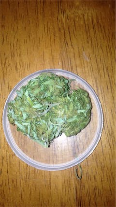 User uploaded image of Green Crack Extreme