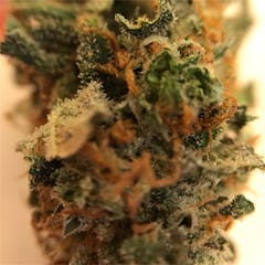 User uploaded image of Green Crack