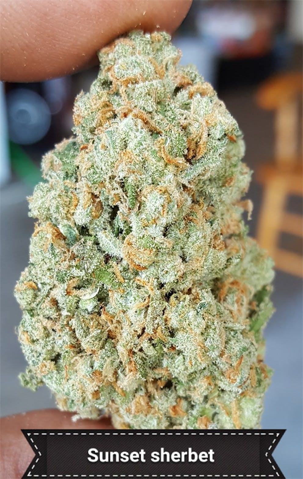 Photos of Green Crack Weed Strain Buds Leafly