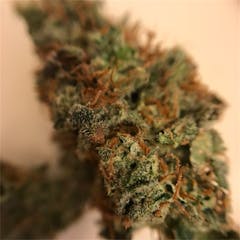 User uploaded image of Green Crack