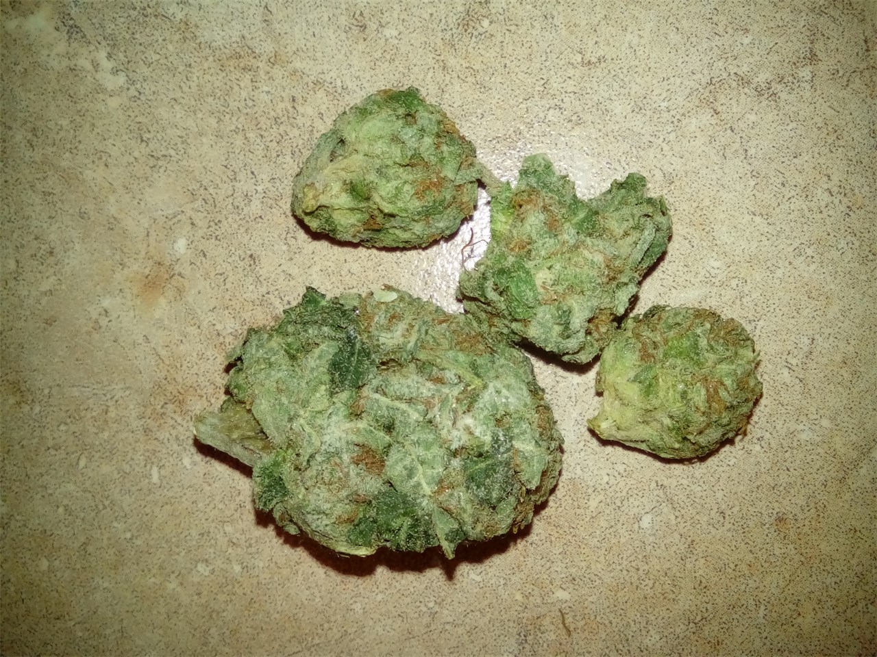 Green Crack aka Green Crush, Mango Crack Weed Strain Information 