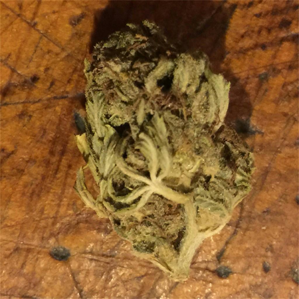 Photos of Green Crack Weed Strain Buds Leafly