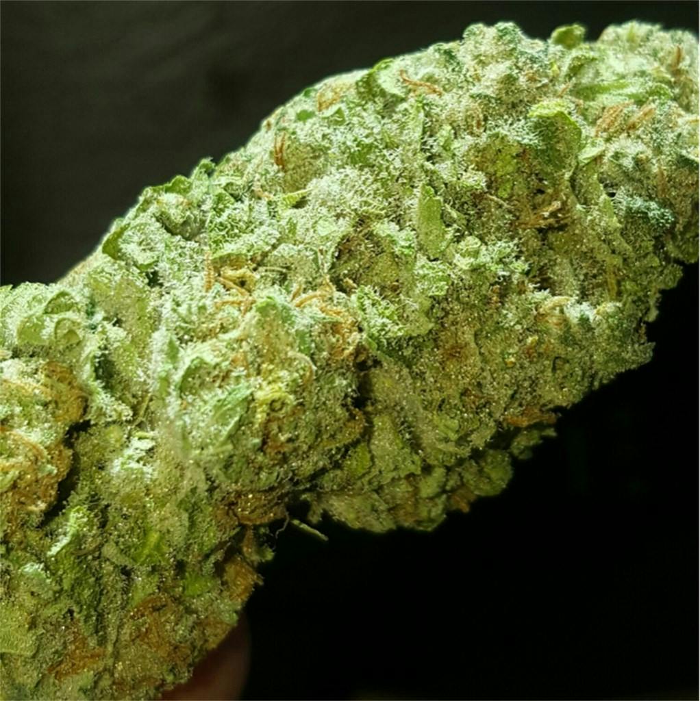 Photos of Green Crack Weed Strain Buds Leafly