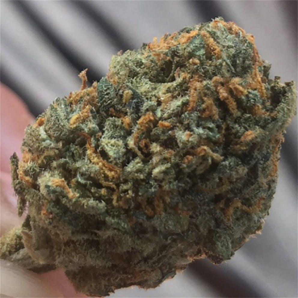 Photos of Green Crack Weed Strain Buds Leafly