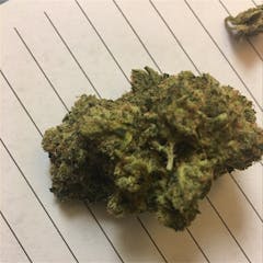 User uploaded image of Green Dragon