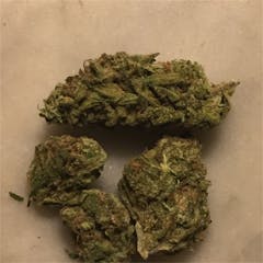 User uploaded image of Green Dragon