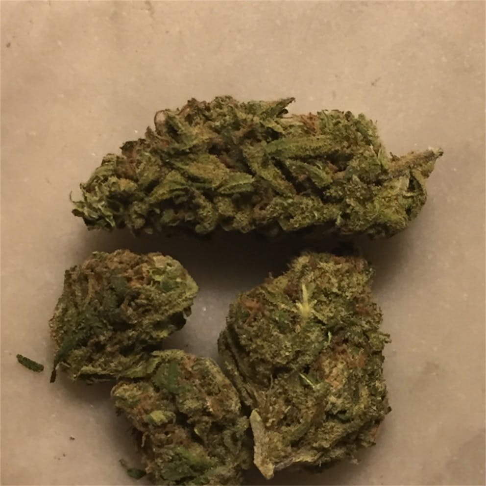 Photos of Green Dragon Weed Strain Buds Leafly