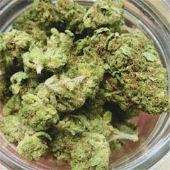 User uploaded image of Green Dragon