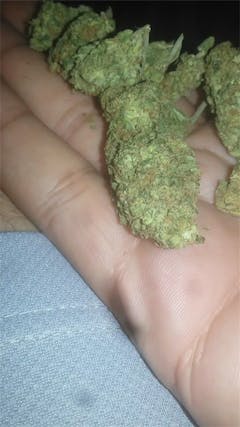 User uploaded image of Green Dragon