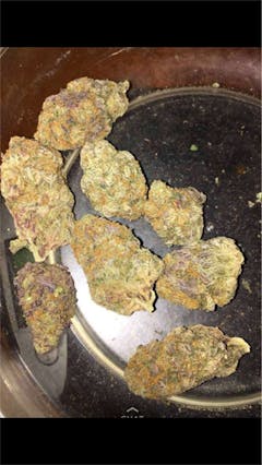 User uploaded image of Green Dragon