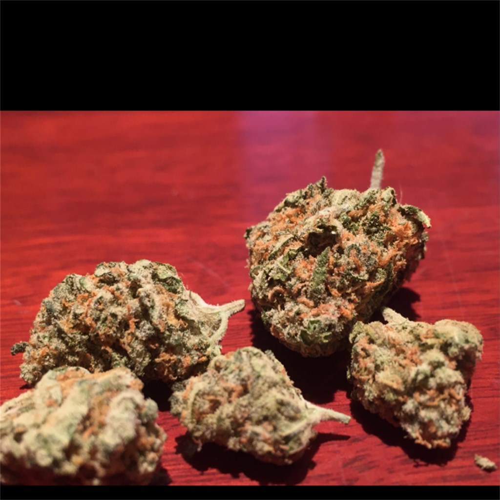 Green dream campestre.al.gov.br