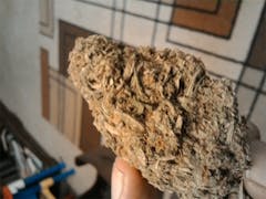 User uploaded image of Green Dream