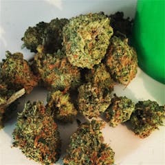 User uploaded image of Green Dream