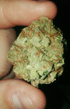 User uploaded image of Green Goddess