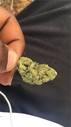 User uploaded image of Green Goddess